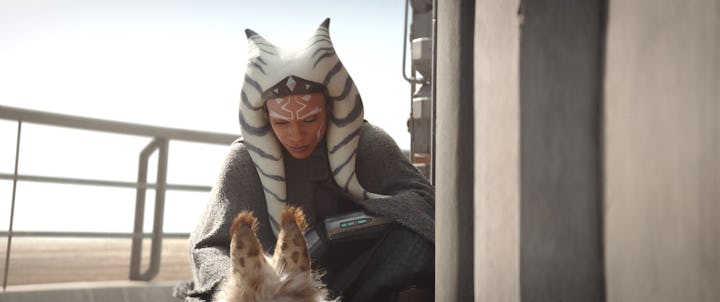 Ahsoka and a Loth cat