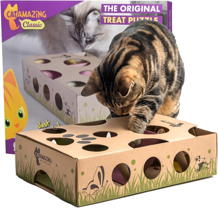 Cat Amazing Classic Cat Puzzle Feeder
