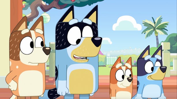 Do Dogs Love 'Bluey'? Fans Have A Theory About The Colors