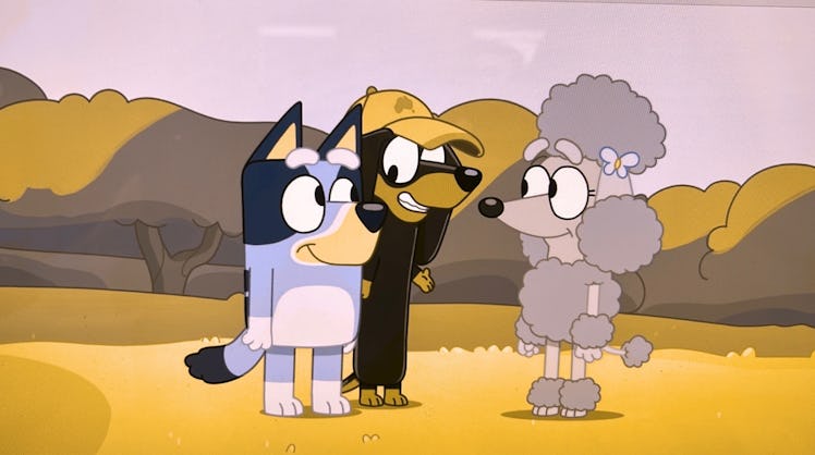 Bluey, Snickers, and Coco in Dog Vision.