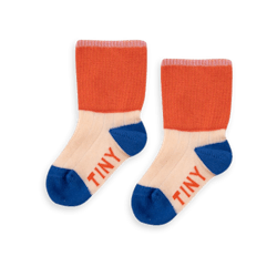 Color Block Socks 