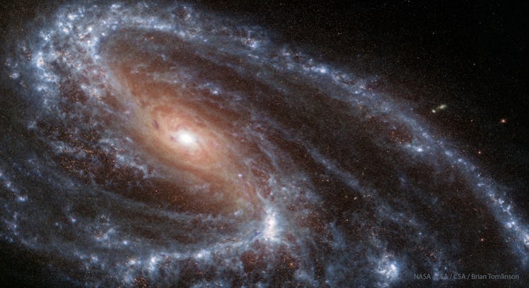 photo of a galaxy with an orangeish center and blue-white spiral arms on a black background