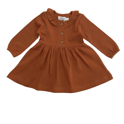 Rust Organic Long Sleeve Ruffle Dress for babies' fall photoshoot outfits