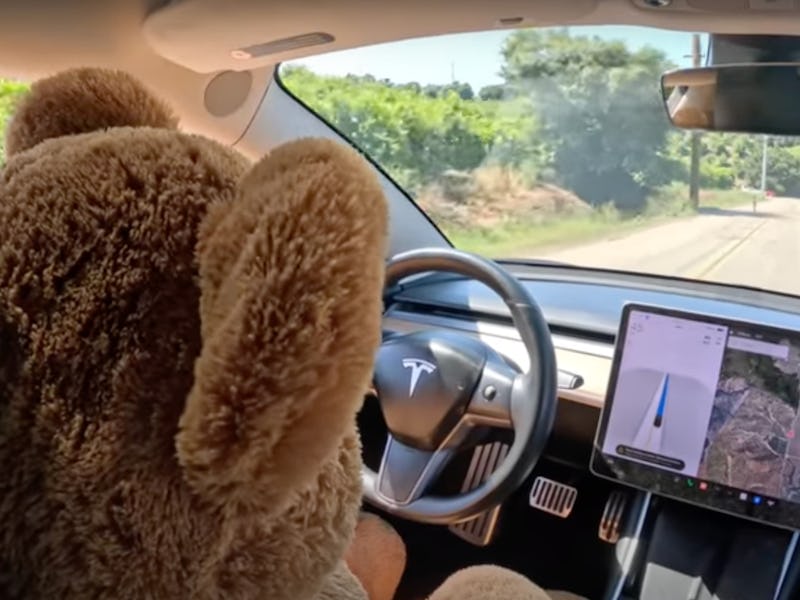 Teddy bear driving a Tesla EV