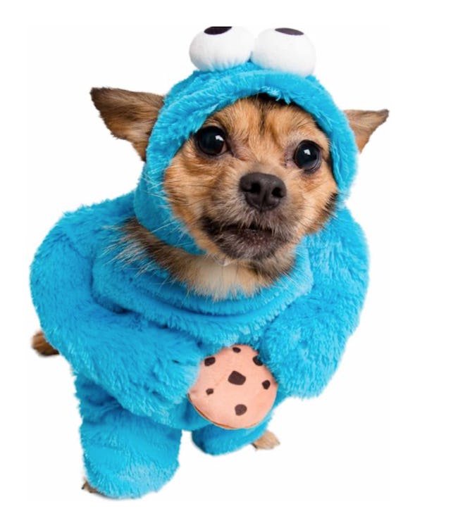 Pet Krewe Sesame Street Cookie Monster Dog & Cat Costume