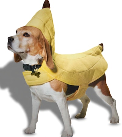Bootique Banana Costume for Dogs & Cats