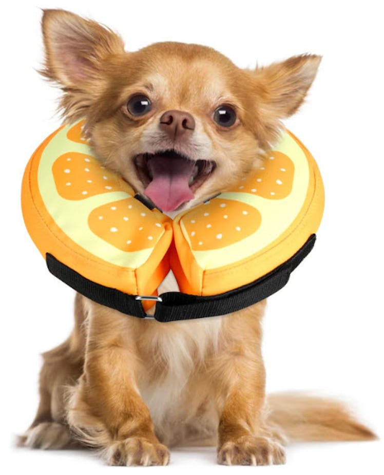 Sivomens Dog Cone