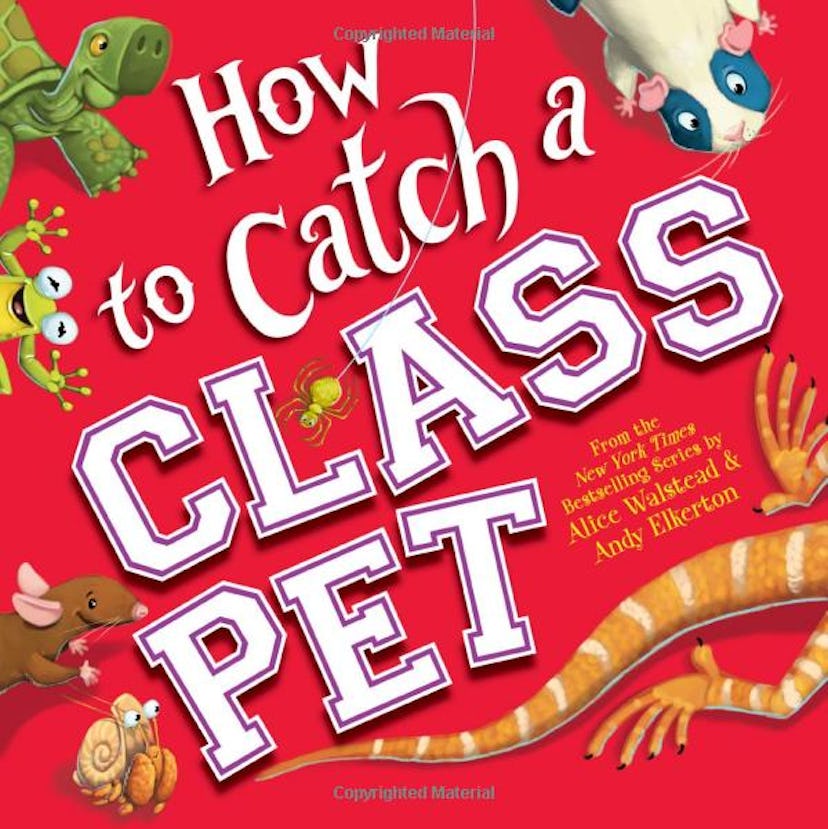 'How to Catch a Class Pet' by Alice Walstead