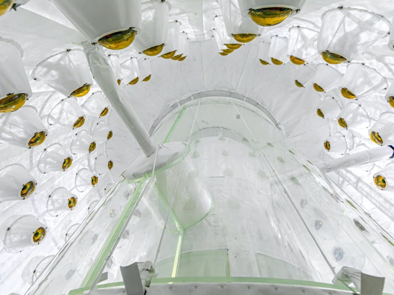 The inside of the LZ outer detector. The LZ is a super sensitive machine that may one day detect a d...
