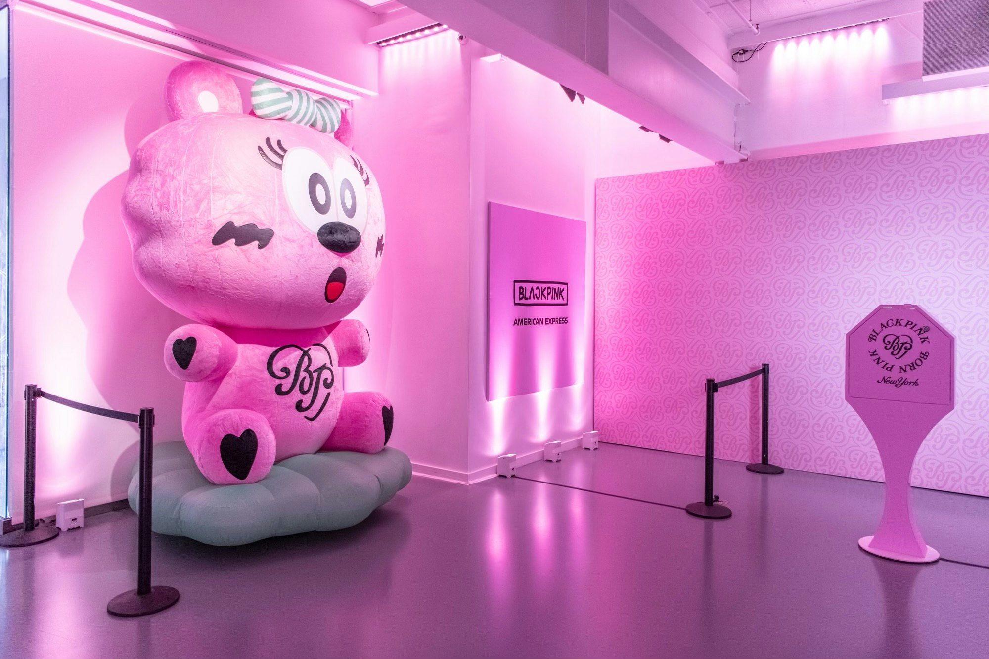 I Went To BLACKPINK's 'Born Pink' NYC Pop Up &, OMG, The Merch