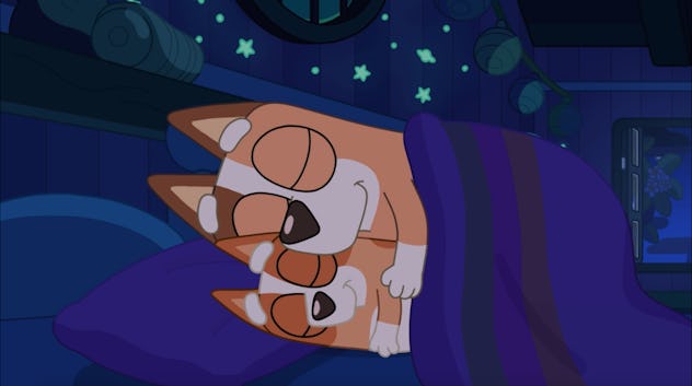Bingo and Chilli in "Sleepytime: