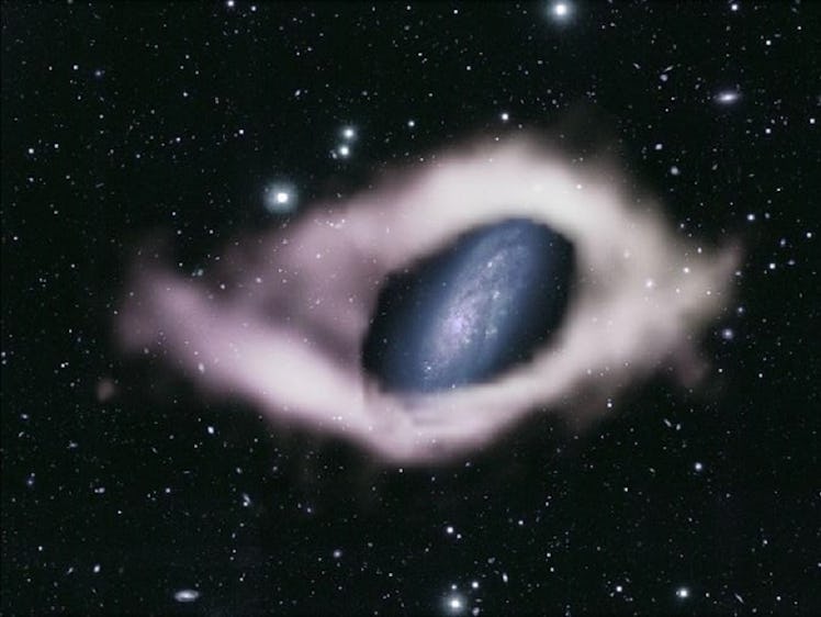 image of a blue galaxy surrounded by a pale ring of dust against a black starry background