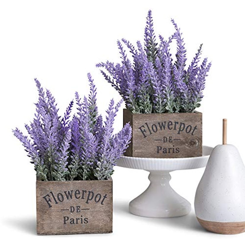 Butterfly Craze Artificial Lavender Plants