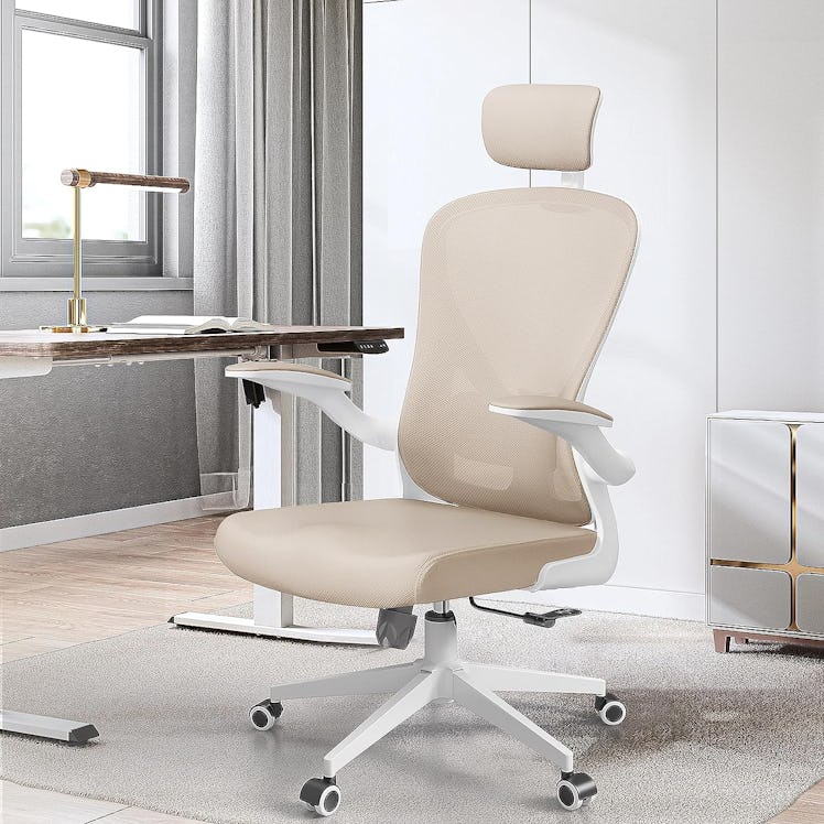 SICHY AGE Ergonomic Chair