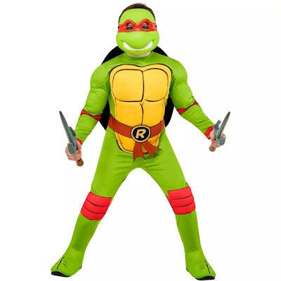 Teenage Mutant Ninja Turtles TMNT Kids Donatello Halloween Costume