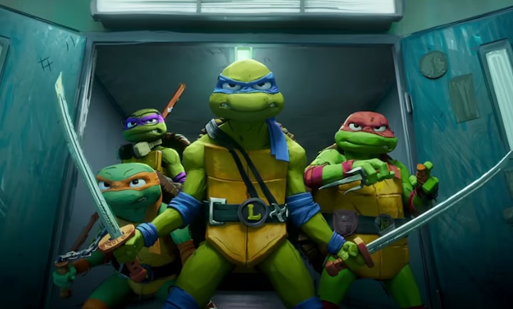 16 Best 'Teenage Mutant Ninja Turtle' Costumes For The Whole Family