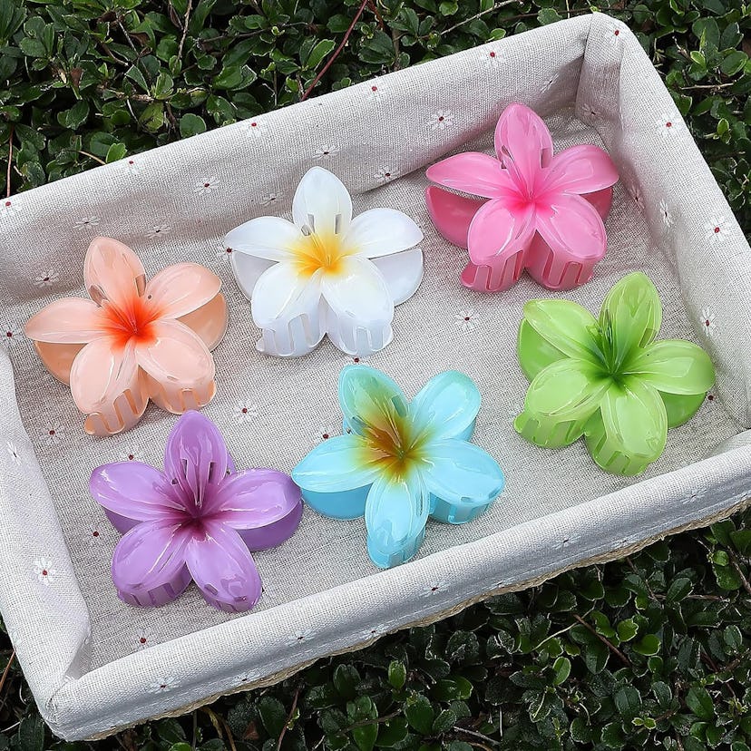 Sisiaipu Flower Claw Clips (6 Pieces)