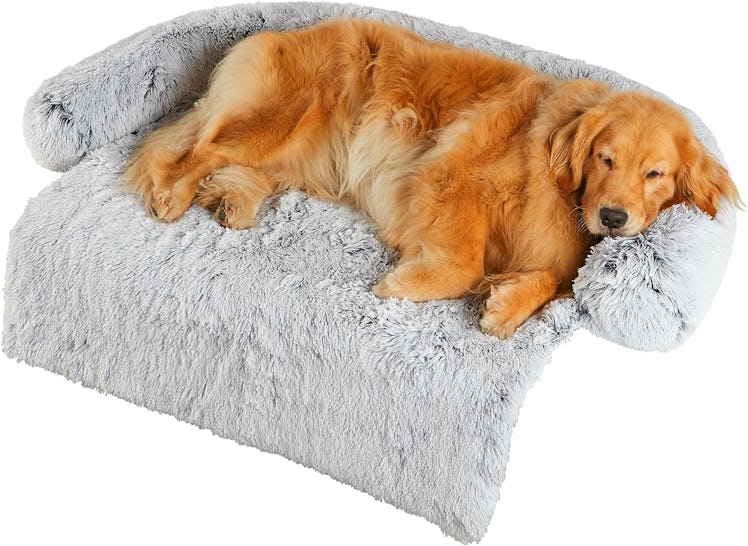 Codi Calming Couch Dog Bed