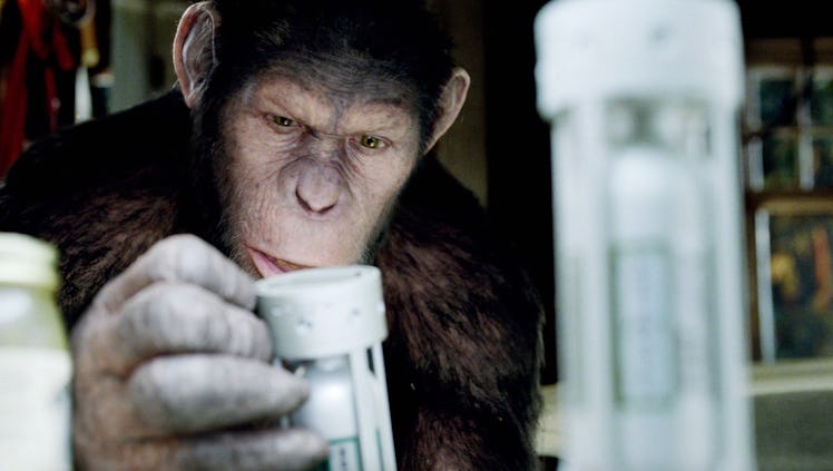 Andy Serkis as the ape Caesar in 'Rise of the Planet of the Apes.'