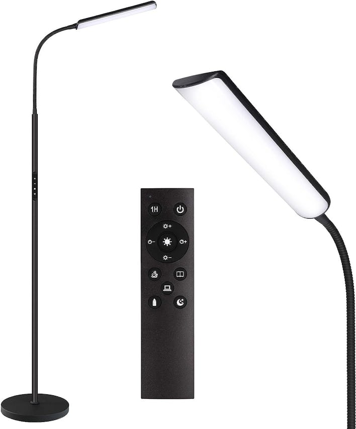 Dimunt Adjustable LED Floor Lamp with Remote