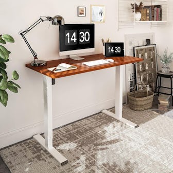 FLEXISPOT EC1 Electric Standing Desk
