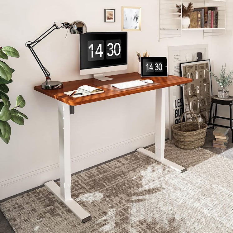 FLEXISPOT EC1 Electric Standing Desk