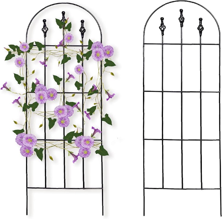 SCENDOR Black Garden Trellis (2-Pack)