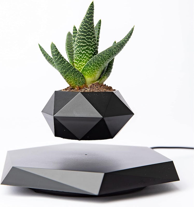 BandD Levitating Plant Pot