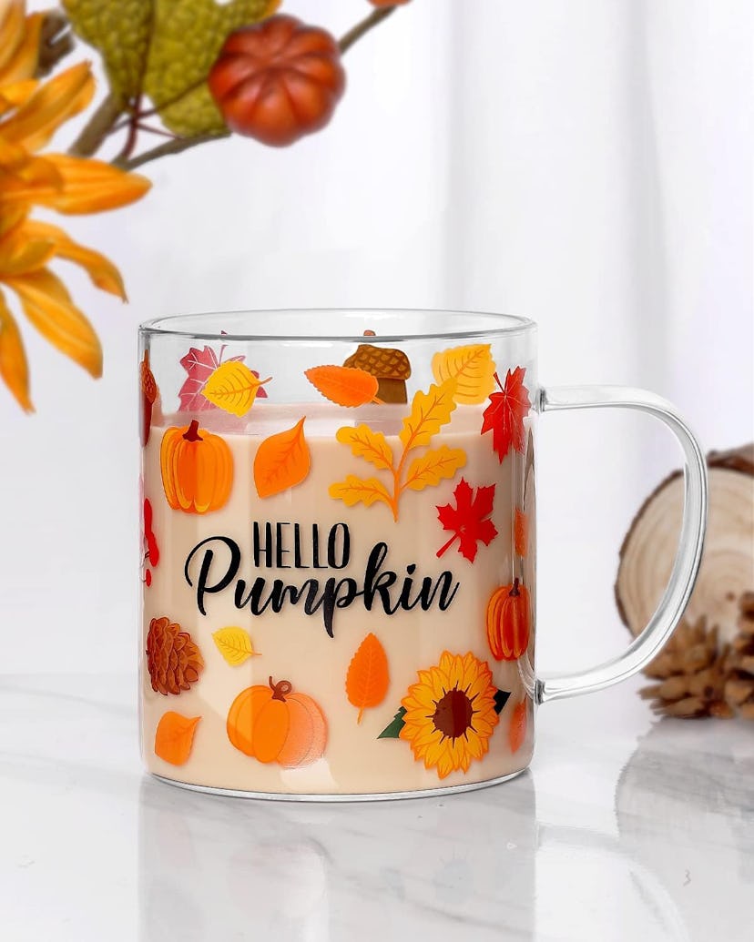 Nefelibata Fall Pumpkin Glass Mug