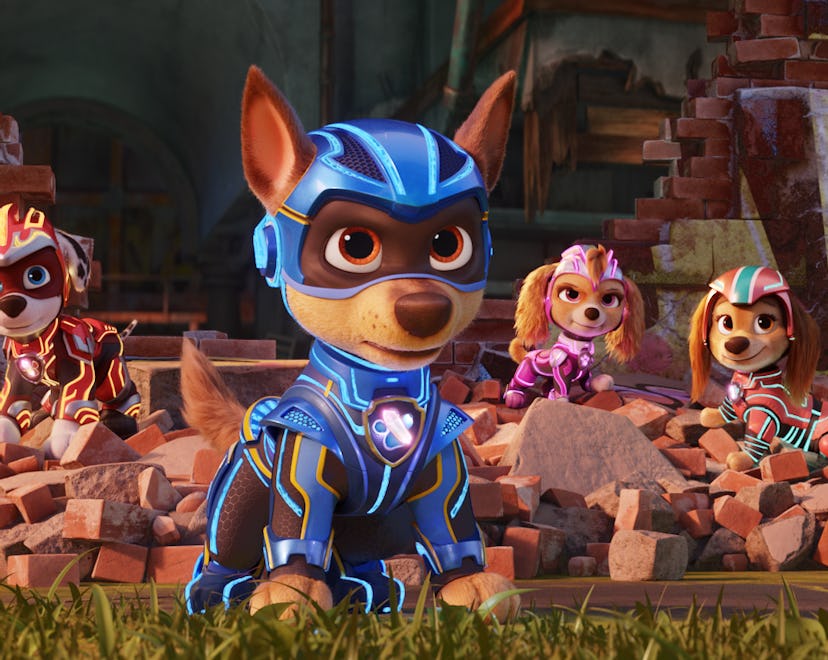 Christian Corrao as “Marshall", Christian Convery as “Chase", McKenna Grace as “Skye", Marsai Martin...