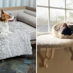 50 Weird Things For Your Pets On Amazon That Are So Damn Clever