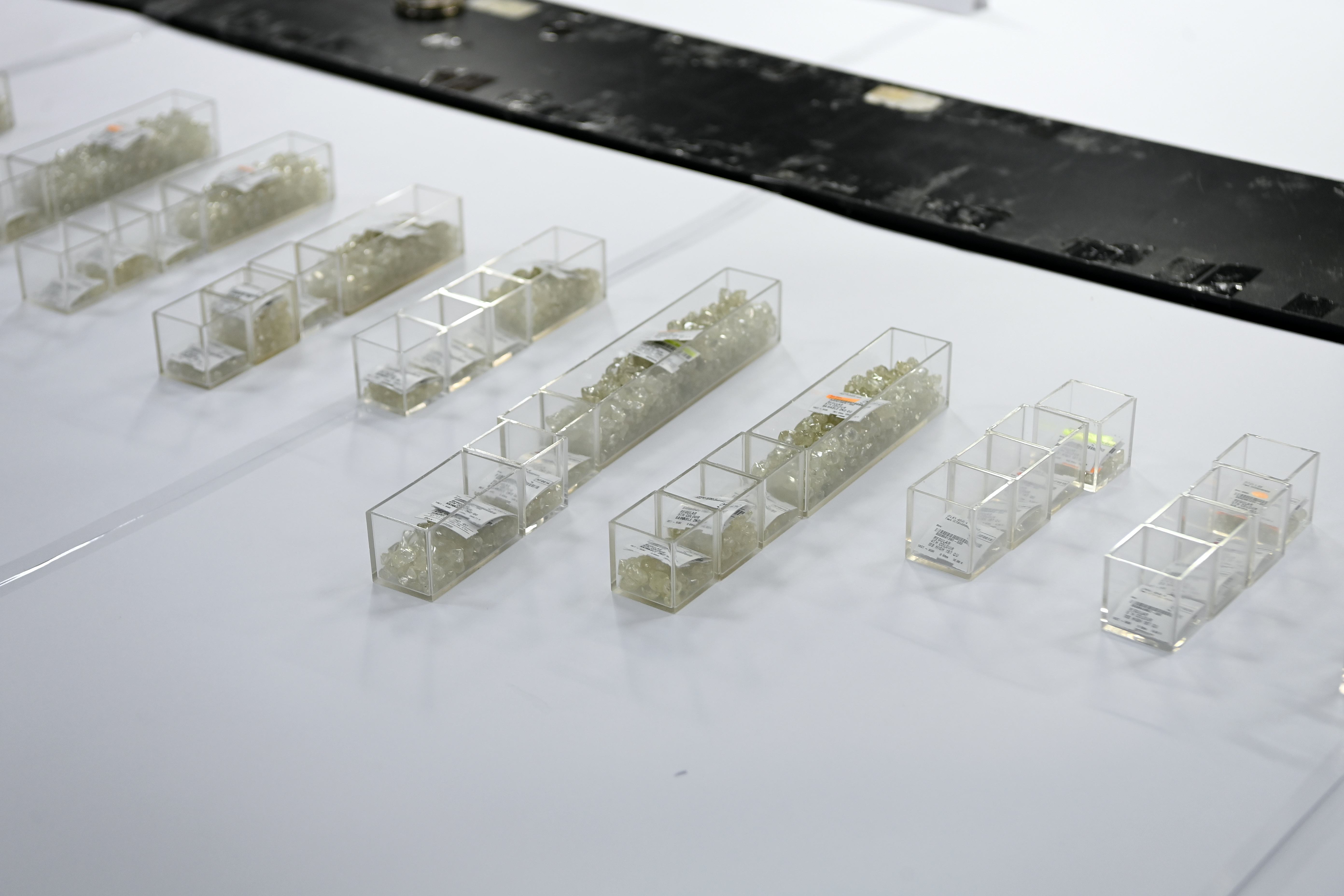 Rough diamonds from their mines are sorted.