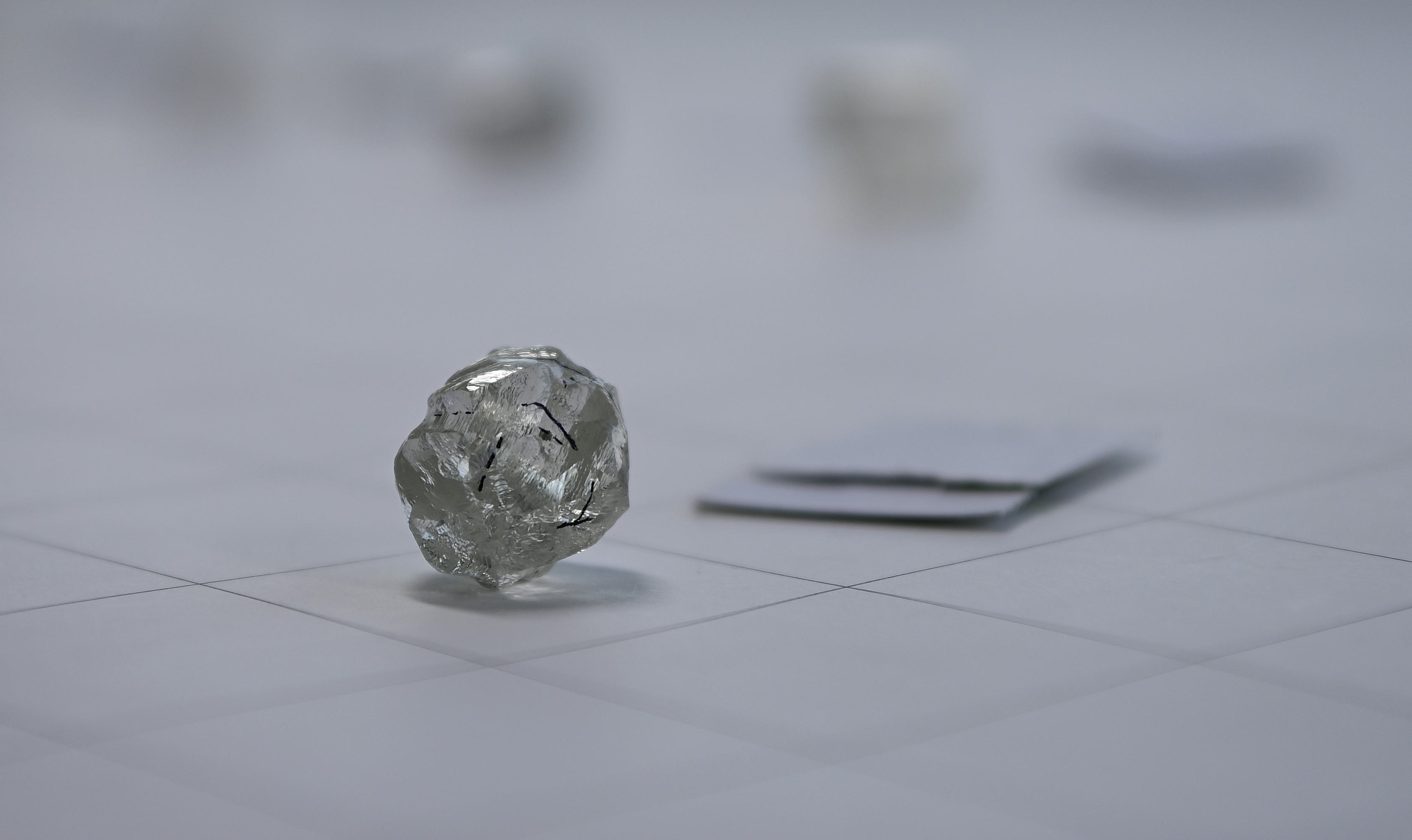 Rough diamonds from their mines are sorted.