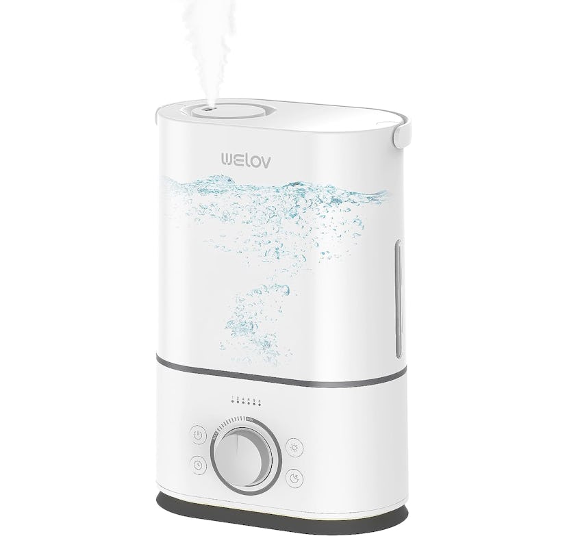 WELOV Humidifier