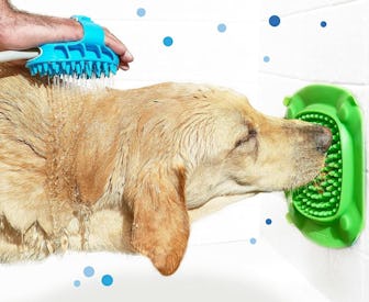 Aquapaw Premium XL Licking Mat