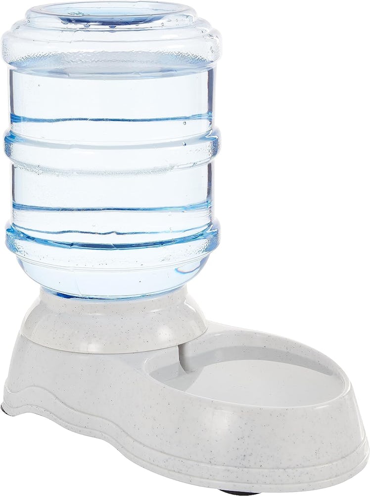 Amazon Basics Gravity Pet Waterer, 1-Gallon