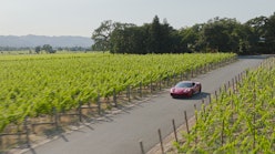 the four seasons drive experience Napa Valley 