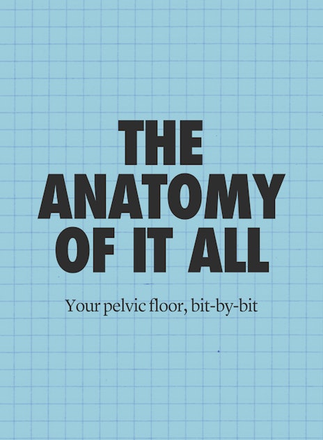 Your Pelvic Floor: Everything You Need To Know