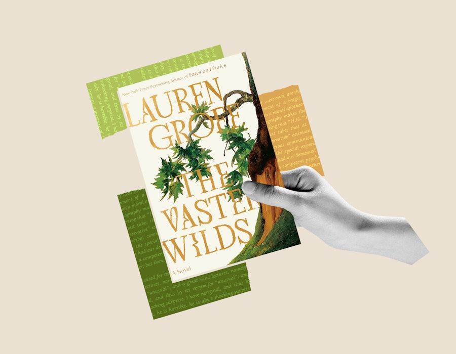 Lauren Groff's new book, The Vaster Wilds