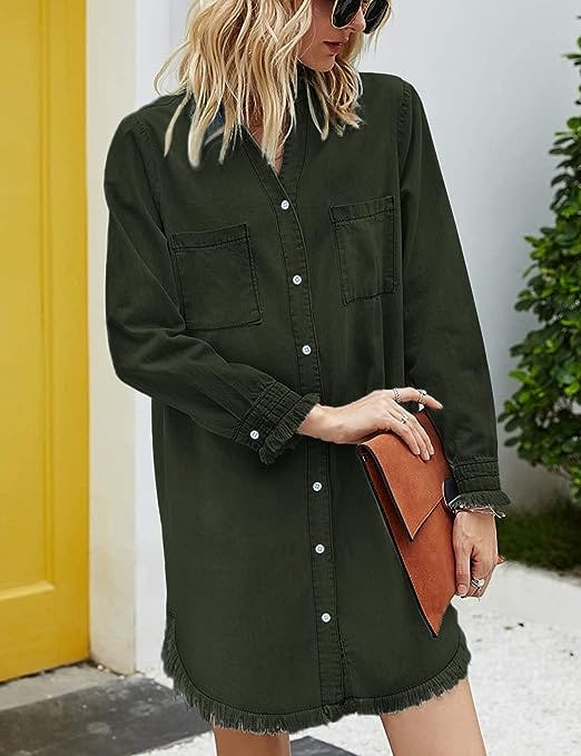 Zilcremo Denim Shirtdress