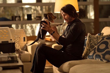 Keanu Reeves as John Wick with a dog