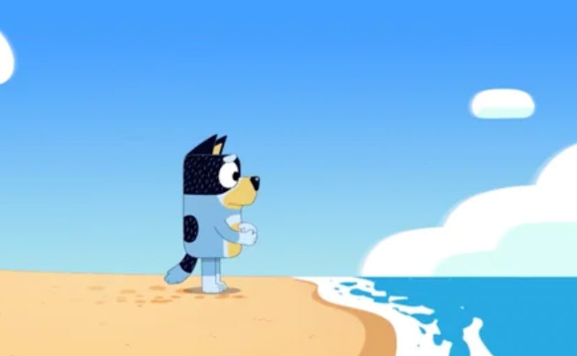 Bandit stares at the ocean in the Stickbird episode of Bluey