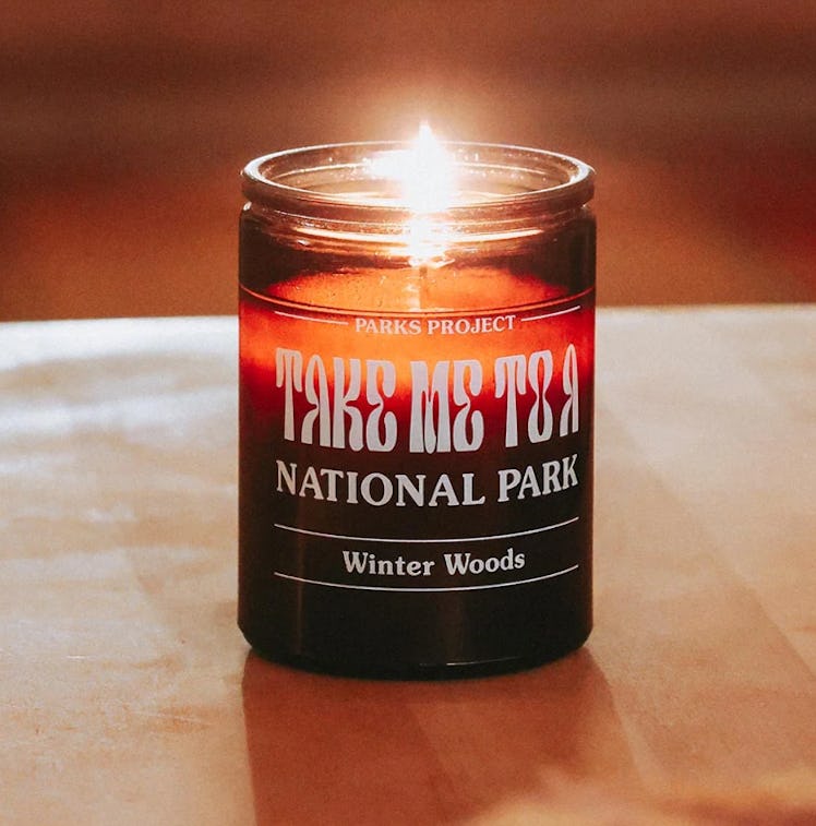 Take Me to the Parks Winter Woods Soy Candle