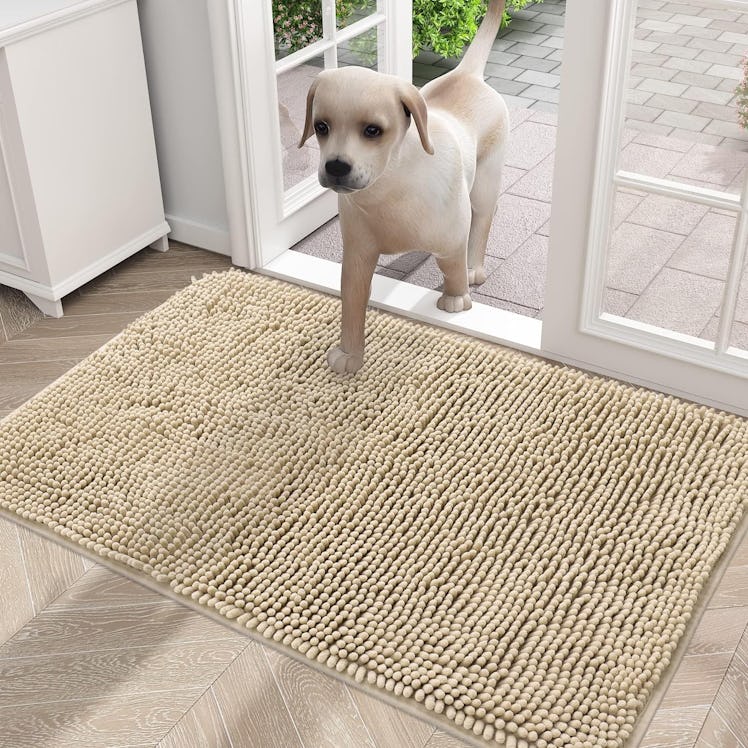 OLANLY Dog Door Mat 