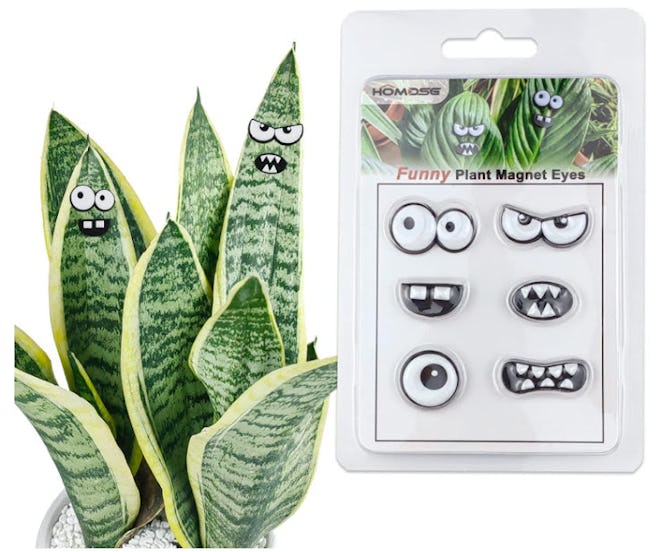 HOMDSG Monster Magnet Eyes for Potted Plants