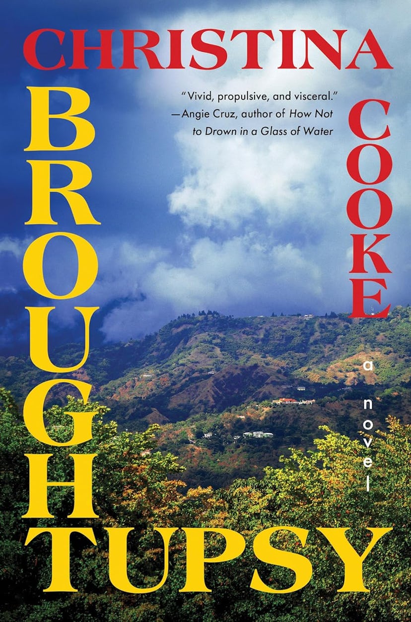'Broughtupsy' by Christina Cooke