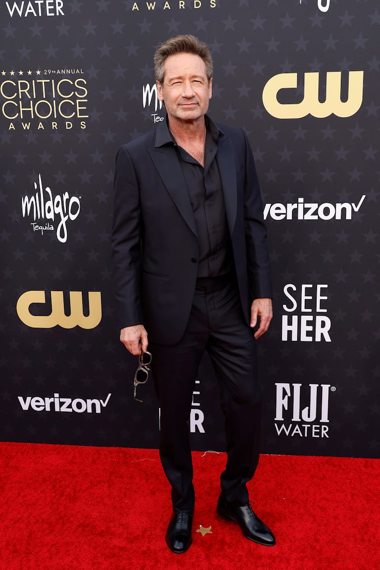 David Duchovny attends the 29th Annual Critics Choice Awards at Barker Hangar on January 14, 2024 in...