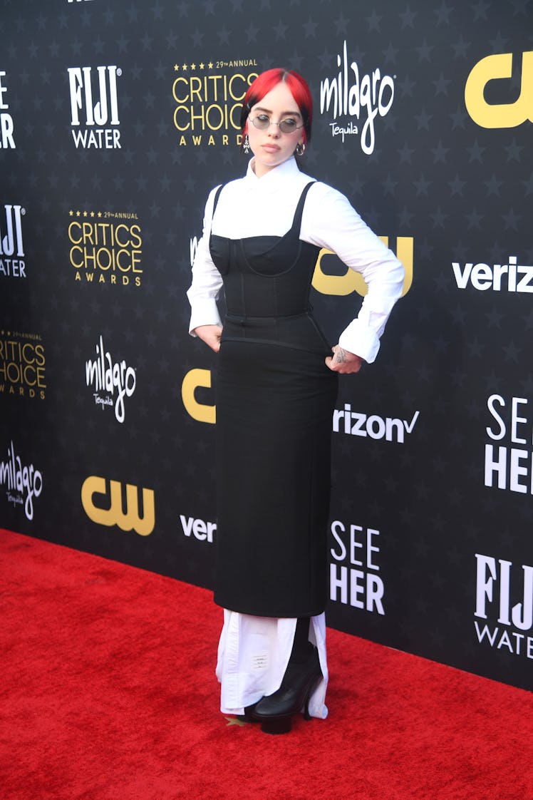Billie Eilish attends the 29th Annual Critics Choice Awards at Barker Hangar on January 14, 2024 in ...