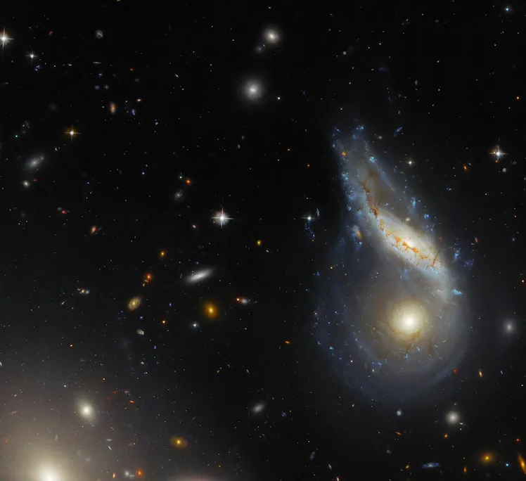 Two spiral galaxies are merging together at the right side of the image. One is seen face-on and is ...