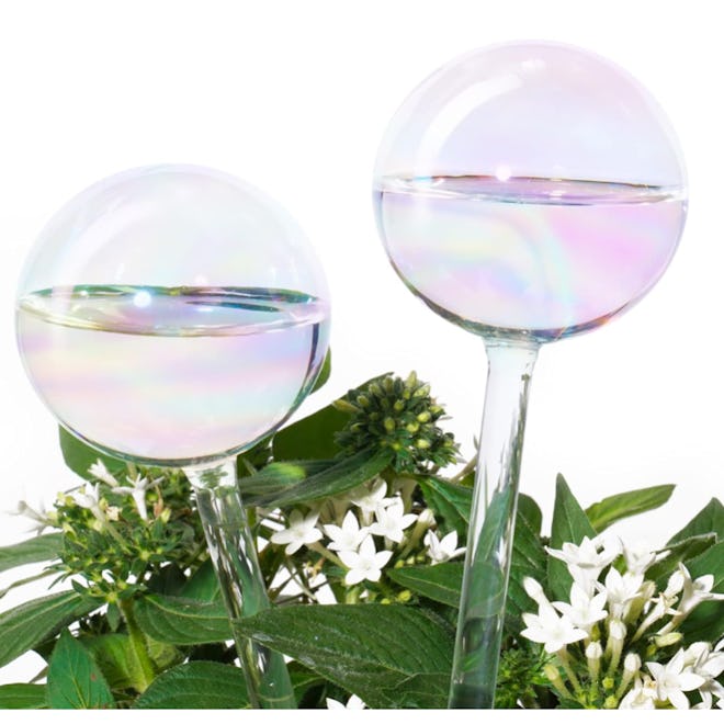 Tomorotec Rainbow Glass Self-Watering Bulbs